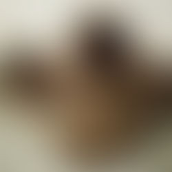 The Curious Case of Benjamin Button