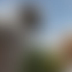 Three Thousand Years of Longing