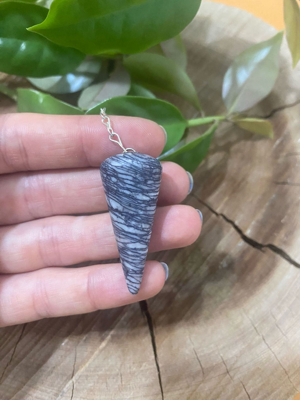 Miniatura: Pêndulo de Jaspe Zebra l