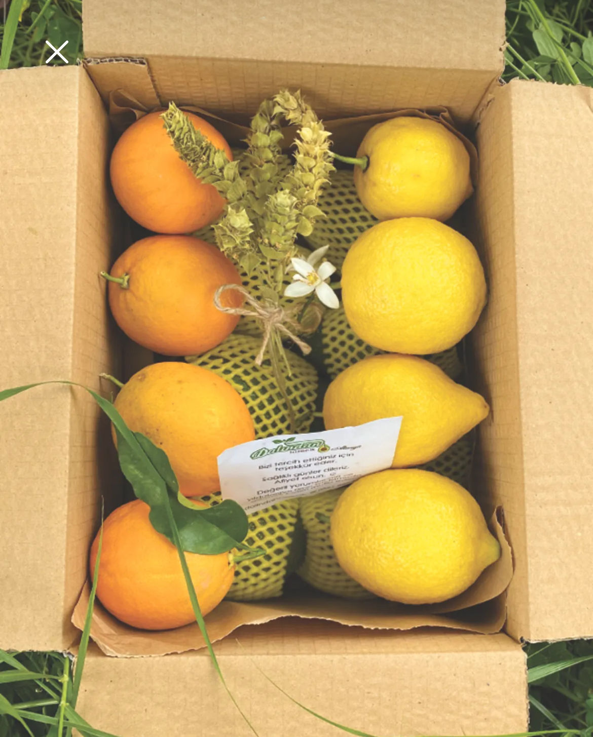 2 kg Avokado - 1 kg Limon - 1 kg Portakal