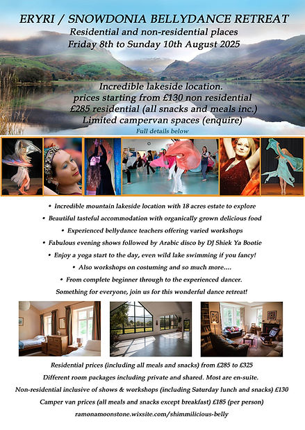 bellydance retreat leaflet.jpg