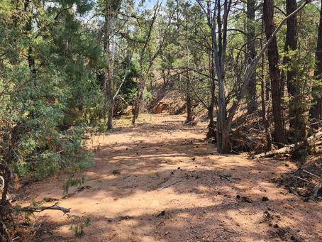 Take a Walk Around Your Property. Don’t Bring a Chainsaw.