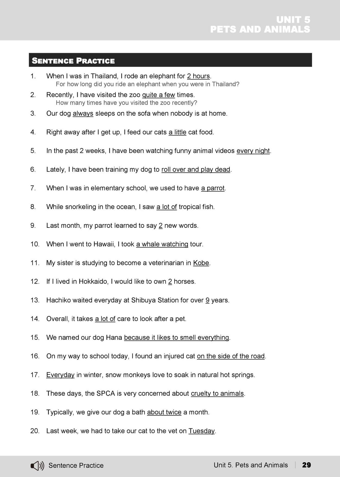 dog 5 sentences