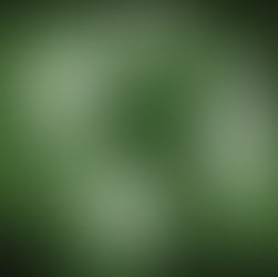 Šest predviđanja za novi svetski poredak