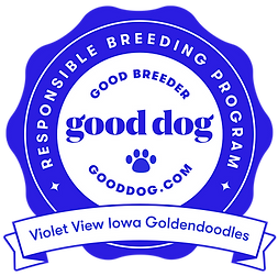 Gooddog.com