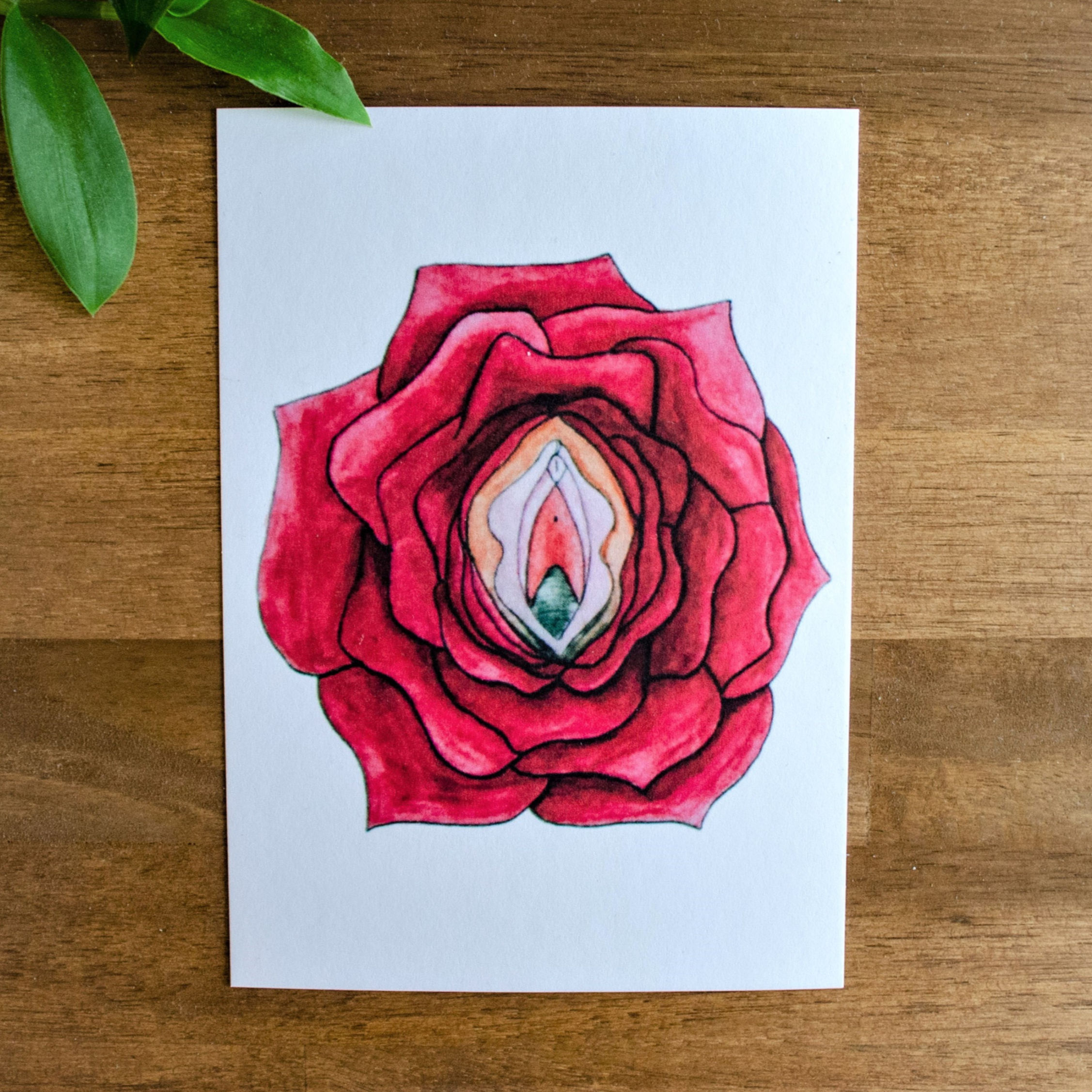Vulva Karte Rose