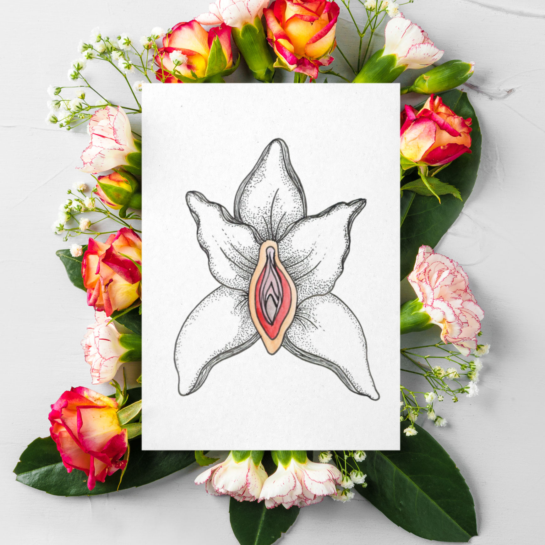 Vulva Karte Orchidee Blüte