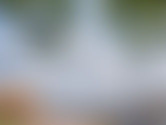 Incendio de pastizal en Mbocayaty del Guairá