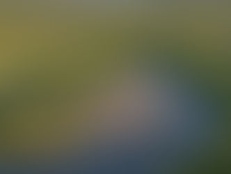 Verifican condiciones de playas: Secretaría de Turismo evalúa estado de los espacios turísticos