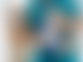 Campaña de castración de animales: SPAV Villarrica realiza jornadas con turnos agendados