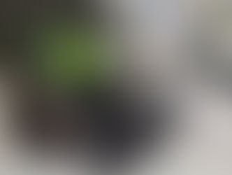 Allanan departamento de atacante del Consulado de Brasil en CDE