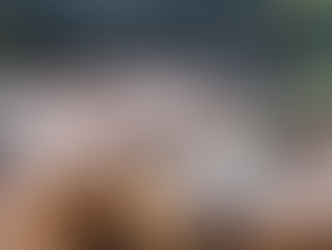 Impulsan producción rural en Guairá: Segunda entrega de cerdos y plantines del gobierno departamental