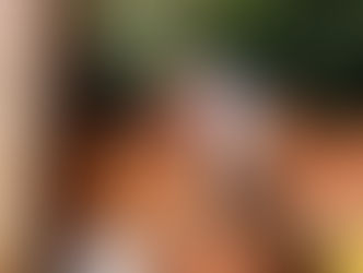 Piden ayuda para terminar comedor solidario: Las personas interesadas en sumarse a la causa (0983) 951 581