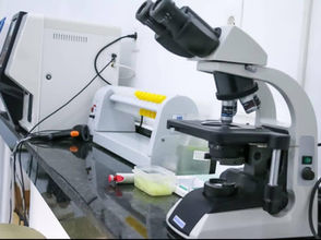 Habilitan laboratorios en Troche e Independencia: Nuevos servicios beneficiarán a unas 30.000 personas