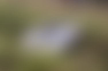 ITAPÚA: Mujer resulta herida tras caer con su vehículo a una zanja en Cambyretá.