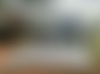 Más de G. 1.000 millones genera la piscicultura en las colonias del Indert