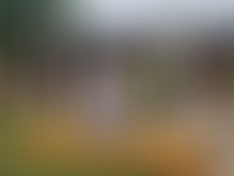 Refuerzan estrategias de seguridad: Policía y gobernador coordinan acciones contra la delincuencia