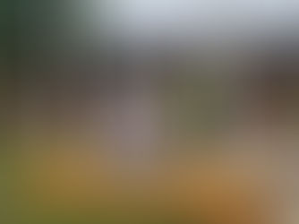 Refuerzan estrategias de seguridad: Policía y gobernador coordinan acciones contra la delincuencia