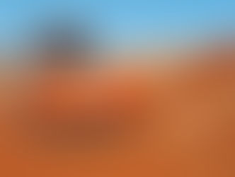 Empieza a tomar forma la ruta de hormigón entre Pozo Colorado - Concepción