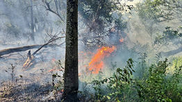 INFONA prohíbe uso de fuego: Ante alto riesgo de incendios forestales