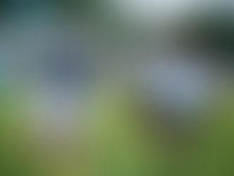 Guaireña visitará la Chacarita: Enfrenta a Resistencia en el Tomás Beggan desde las 17:00