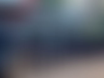 Grupo Lince refuerza seguridad: Con controles preventivos en el Centro