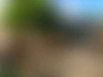 Aniversario N30° de la Compañía K31: Sirviendo con abnegación, valor y disciplina