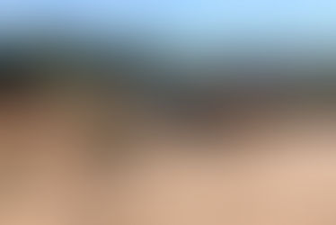 Frenan extracción indiscriminada de arena en Coronel Martínez: MADES y Fiscalía constatan depredación del bosque protector de la playa