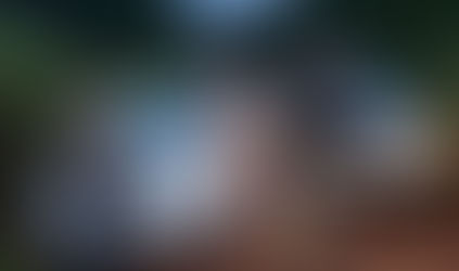 Policía recupera vehículo tras persecución: Sistema de rastreo GPS permitió recuperar el Toyota Allion