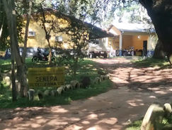 Roban aires y otros objetos de oficina del Senepa en Ayolas