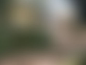 Roban aires y otros objetos de oficina del Senepa en Ayolas