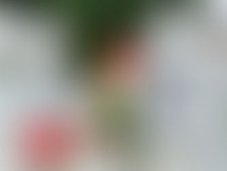 ¿La gripe aviar sería un riesgo? Los humanos tienen anticuerpos que neutralizarían al virus