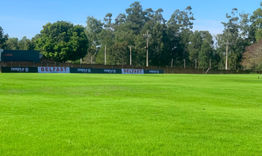 Quinceno FC estrenará gramado renovado: Apunta al ascenso a la División Intermedia