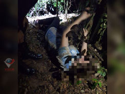 Hallan a mujer desaparecida tras discusión con su pareja: Fue encontrada herida en una zona boscosa de la Compañía Pirity