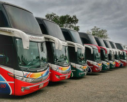 Guaireña S.R.L lanza servicio internacional los jueves: Viajes a Retiro y La Plata por Encarnación - Posadas