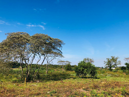 Nueva ocupación es de administración anterior: Pero Catastro detectó que hay más familias que intentar asentarse