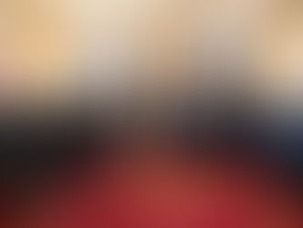 Nueva comisión directiva del Consejo de Gobernadores se reunió con el Presidente de la República y el Vicepresidente