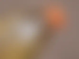 Una mujer sufre graves quemaduras en Alemania tras ser rociada con gasolina