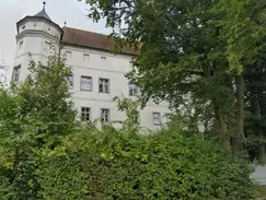 Hallan en Austria un gran campo con cenizas y restos de víctimas del nazismo