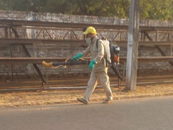 Fumigan Sambódromo antes de Carnavales: Senepa realiza trabajos preventivos contra el dengue