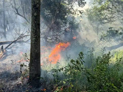 Incendios avanzan en cerro de Caacupé y predio de 50 hectáreas en Misiones