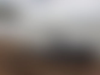 Más de 30 delfines mueren tras el derrame de crudo en el mar Negro