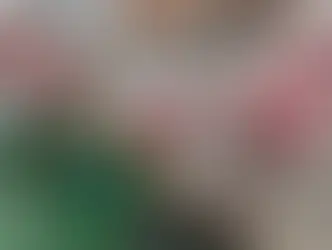 Lo que tenés que saber: Unos 20 buses eléctricos llegaron al país