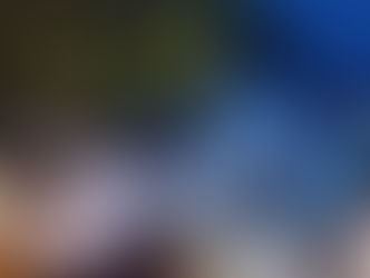 Lujoso vehículo chocó por una vivienda: Joven conductor dio positivo a la prueba de alcotest