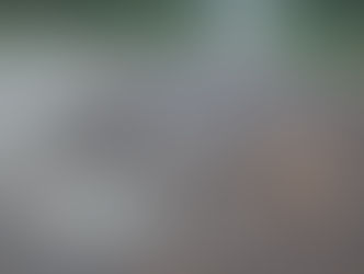 Concejales denuncian desidia en barrio Estación: Zona considerada turística luce intransitable, según ediles