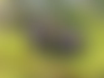 Estudio hidrológico en comunidad indígena: Buscan subsanar falta de acceso agua potable