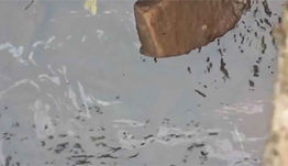 Sospechan vertido de desechos aceitosos en mortandad de peces en el Ykua Pyta