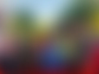 Emotiva despedida de directora de Cervantes: Ana María Gasser se jubiló tras 28 años de servicio