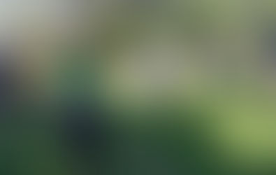 Fuerte Operativo Policial contra abigeato: Controles se centrarán en vehículos que trasladan carne en zonas rurales