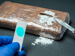 Operativo Nexus: Policía allana oficinas y detiene a dos personas por envío de cocaína a Europa